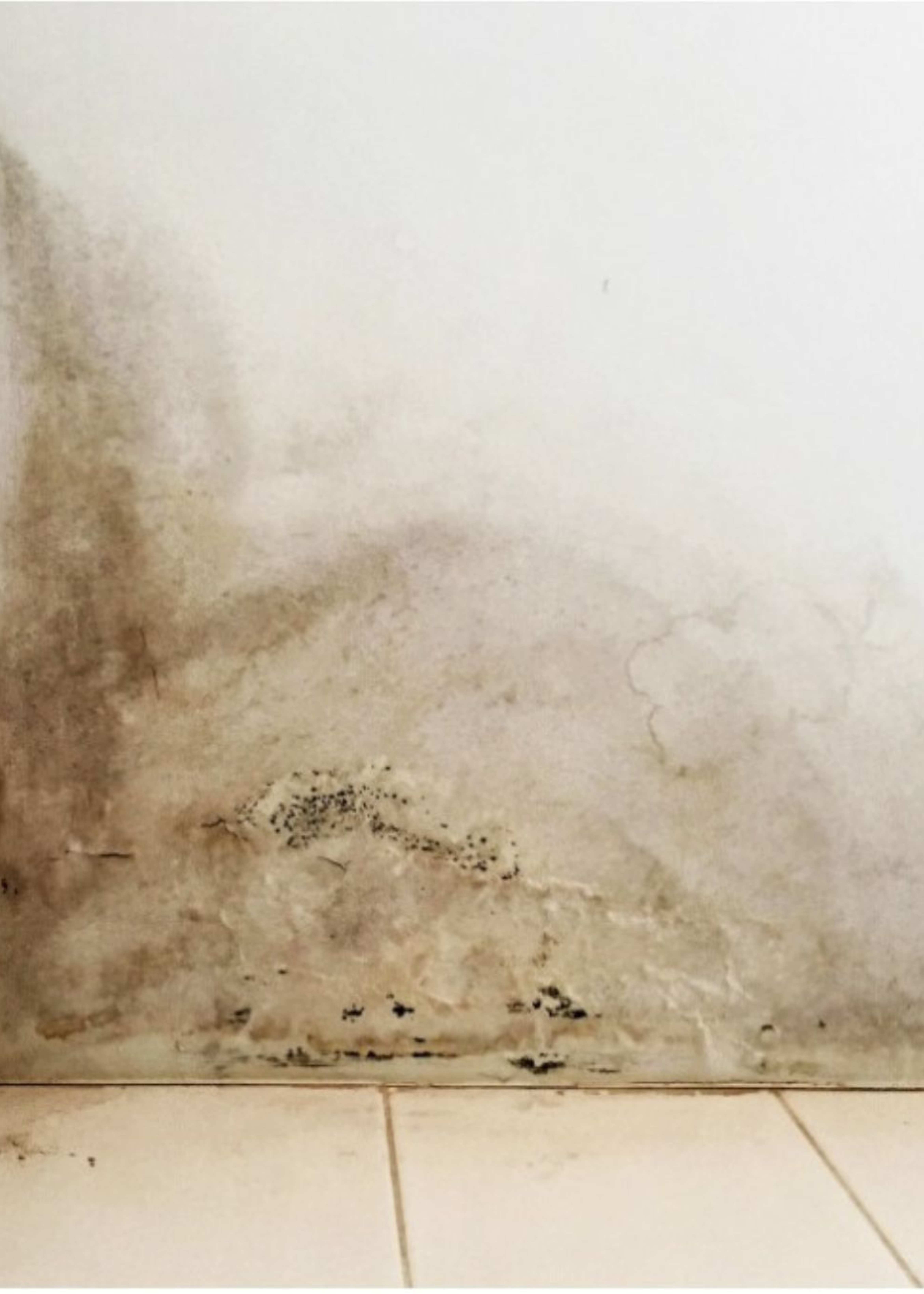 Advanced Waterproofing Techniques